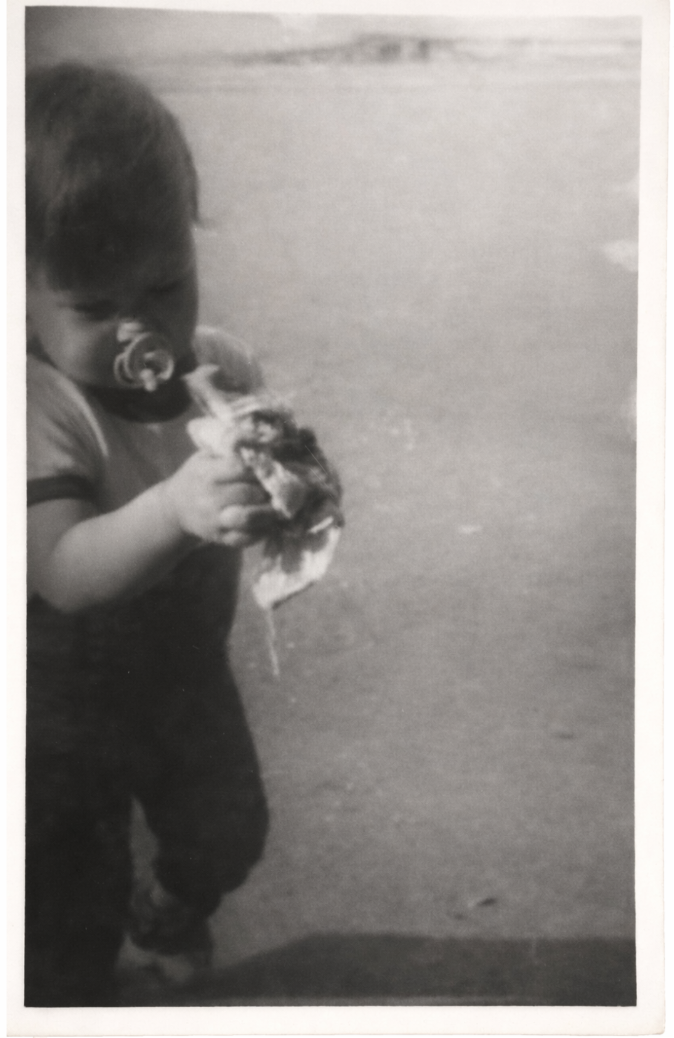 Archiwalne zdjęcie 1